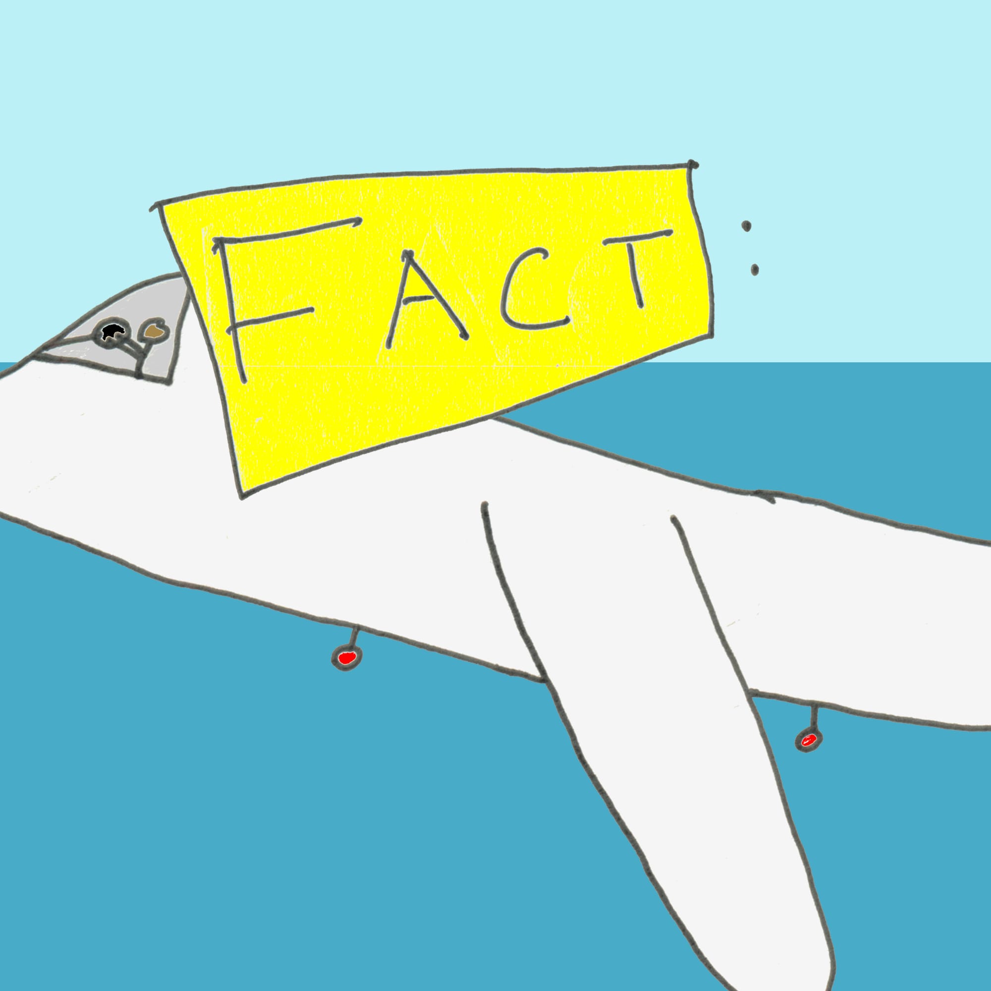 The word FACT: coloured in yellow, with a picture of an aeroplane being piloted by a stickperson over the sea