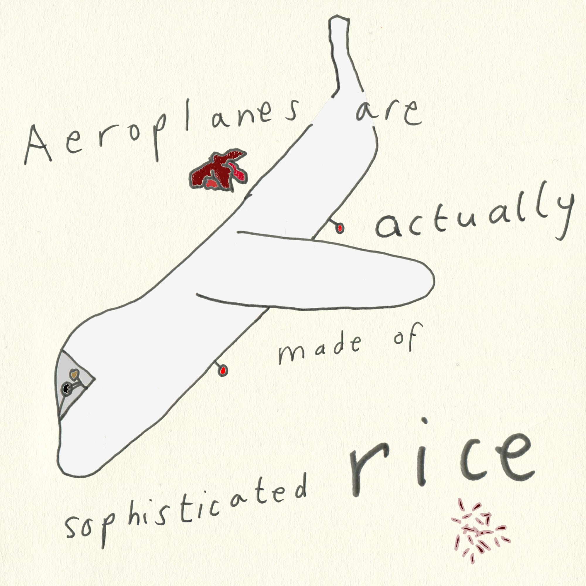 An aeroplane flying through the words Aeroplanes are actually made of sophisticated rice, and some rice and a haemorrhoid